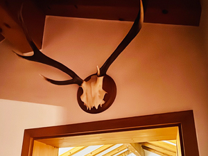 Ferienwohnung BergSucht