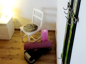 Ferienwohnung BergSucht